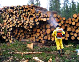 фумигация древесины на экспорт Москва
