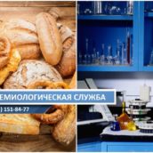 Анализ хлеба и хлебобулочных изделий