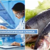 Анализ и исследование рыбы