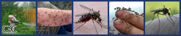 уничтожение комаров на участке